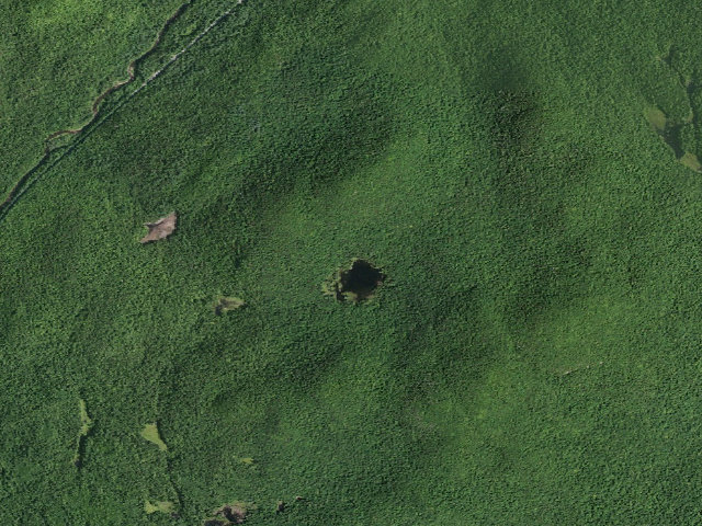 Aerial image of Eagle Pond Campsite (Wilcox Lake Wild Forest)