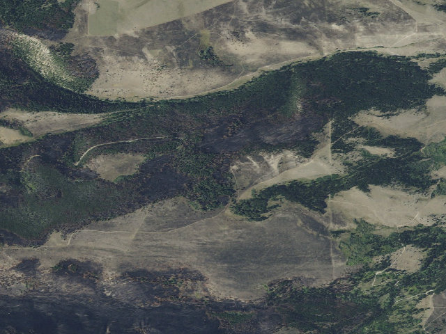 Aerial image of East Big Belts Gfa - Camas Lake Cua