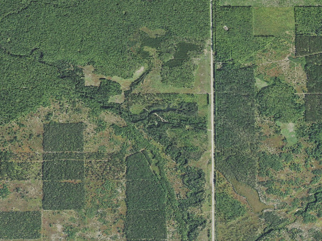 Aerial image of East Branch of Fox River State Forest Campground