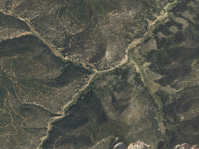 Aerial image of East Fork Dispersed Site 10