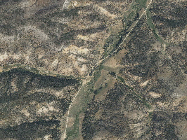 Aerial image of East Fork Dispersed Site 4