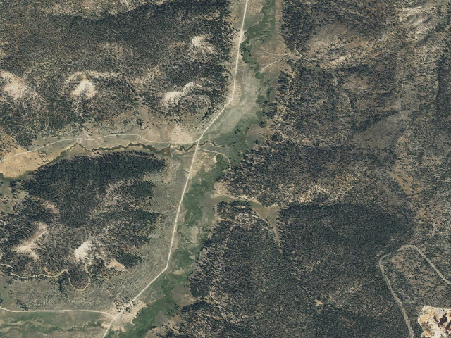 Aerial image of East Fork Dispersed Site 5