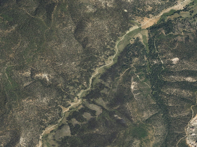 Aerial image of East Fork Dispersed Site 8