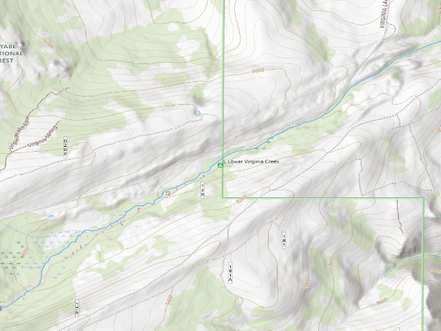 USGS topographic map of East Lower Virginia Creek