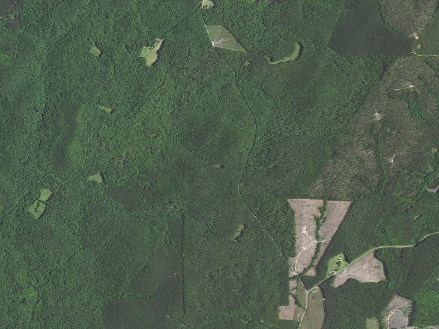 Aerial image of East Morris Mountain Hunt Camp