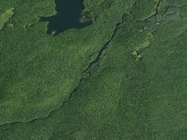 Aerial image of East Of Moynihans Clearingcampsite (Wilcox Lake Wild Forest)