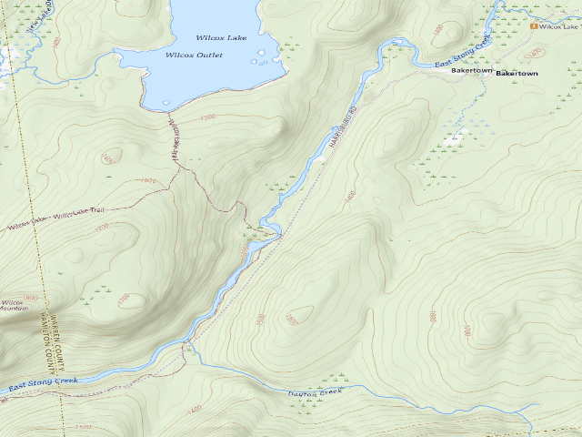 USGS topographic map of East Of Moynihans Clearingcampsite (Wilcox Lake Wild Forest)