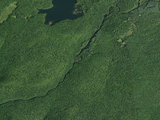 Aerial image of East Stony Creek Trail Campsite (Wilcox Lake Wild Forest)