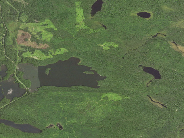Aerial image of East Twin Lake Site 1