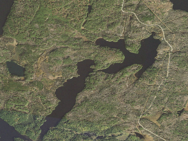 Aerial image of East Twin Lake Site 6