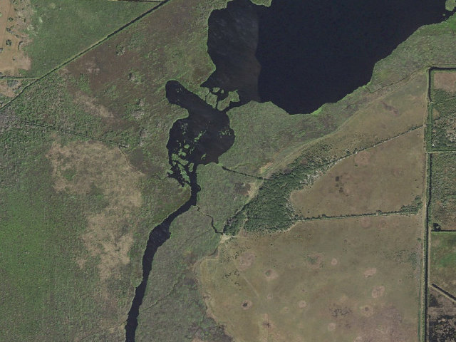 Aerial image of East Union Cypress Camp (Three Forks Conservation Area)
