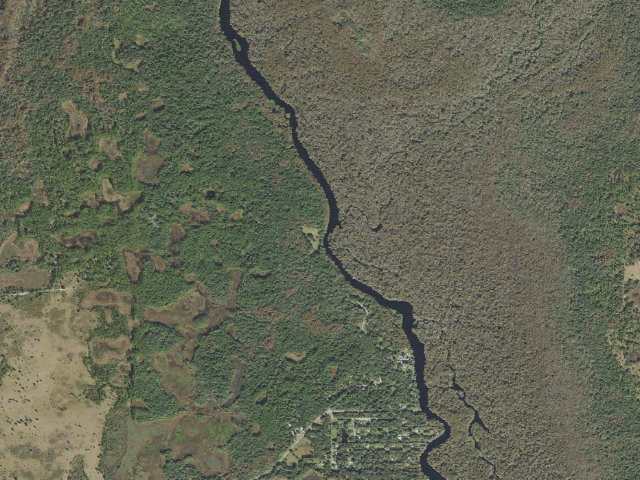 Aerial image of Eastern Amberwing (Potts Preserve)