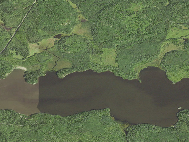 Aerial image of Echo Lake Site 2