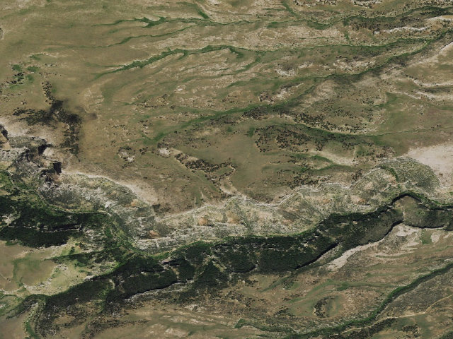 Aerial image of Ed O. Taylor WHMA — camping zone 3
