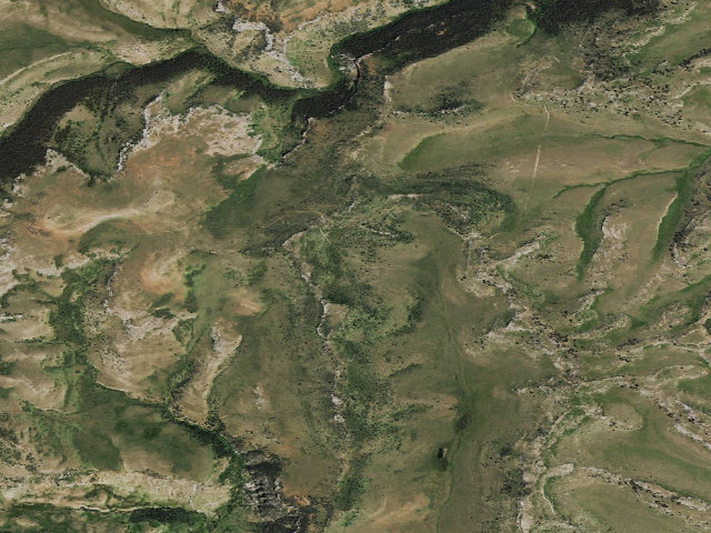 Aerial image of Ed O. Taylor WHMA — camping zone #3