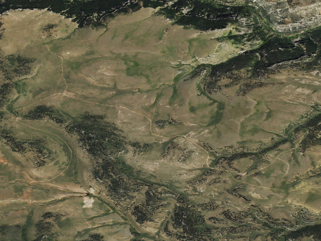 Aerial image of Ed O. Taylor WHMA — camping zone #4