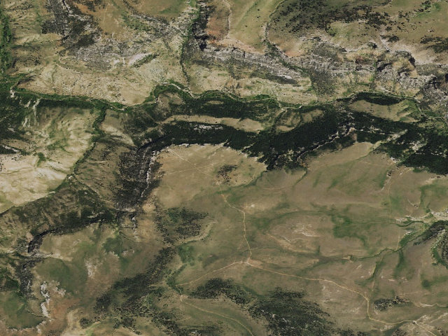 Aerial image of Ed O. Taylor WHMA — camping zone #5