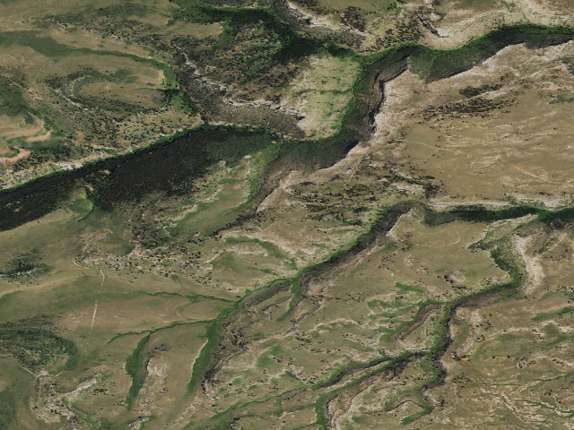 Aerial image of Ed O. Taylor WHMA — camping zone