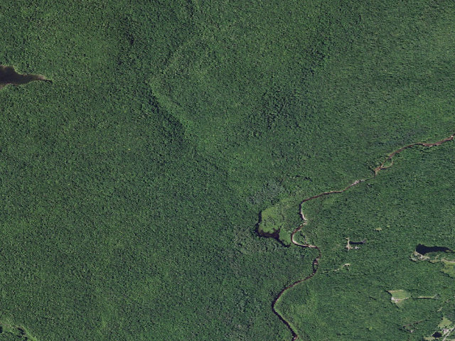 Aerial image of Edick Rd #2 (Ferris Lake Wild Forest)