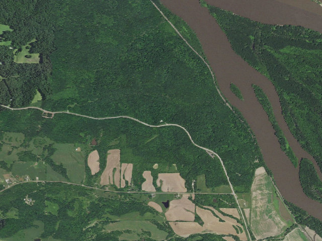 Aerial image of Edward Anderson Conservation Area