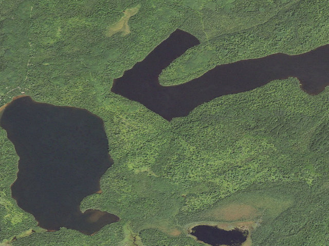 Aerial image of Elbow Lake Site 1
