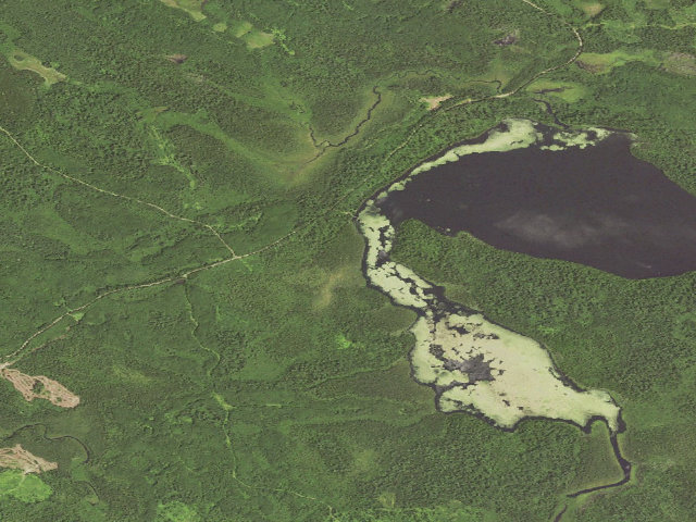 Aerial image of Elbow Lake Site 1