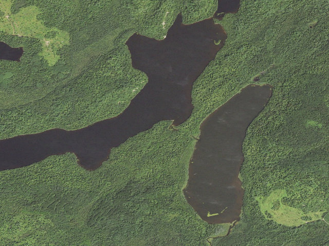Aerial image of Elbow Lake Site 2