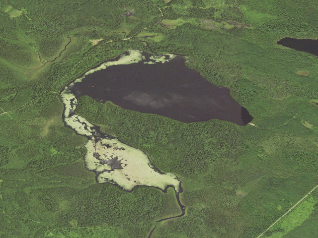Aerial image of Elbow Lake Site 2