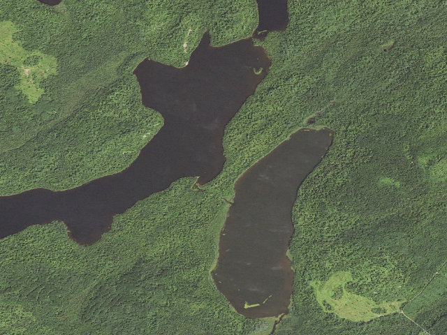 Aerial image of Elbow Lake Site 3