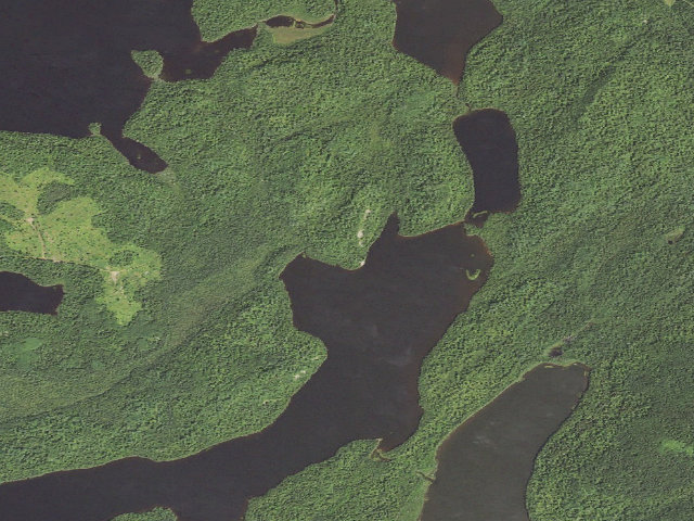 Aerial image of Elbow Lake Site 4