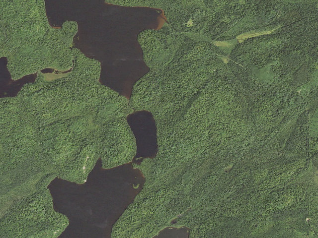 Aerial image of Elbow Lake Site 5