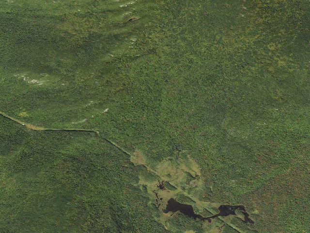 Aerial image of Eliza Brook Shelter