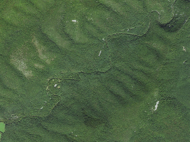 Aerial image of Elizabeth Furnace Group Campground