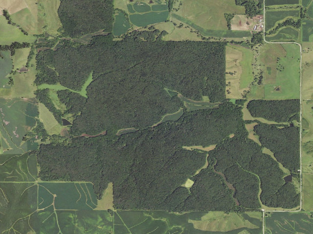 Aerial image of Elk Grove WMA