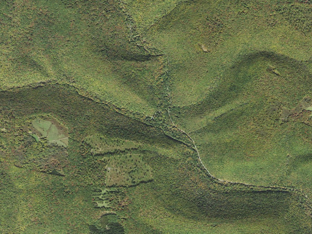 Aerial image of Elk State Forest roadside campsite 002 Hicks Run (Hicks Run Campground)