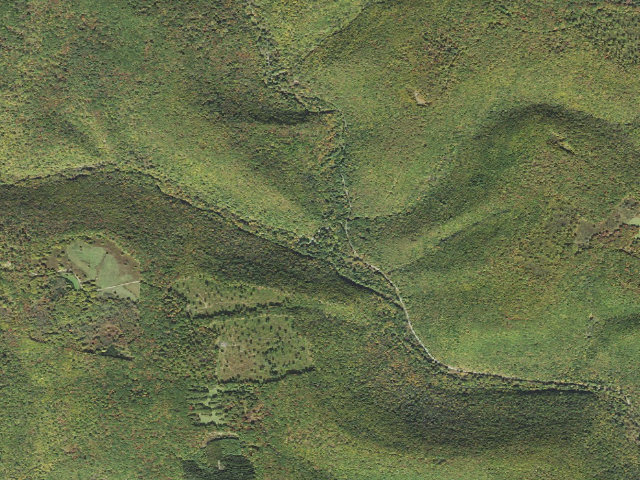 Aerial image of Elk State Forest roadside campsite 003 Hicks Run (Hicks Run Campground)