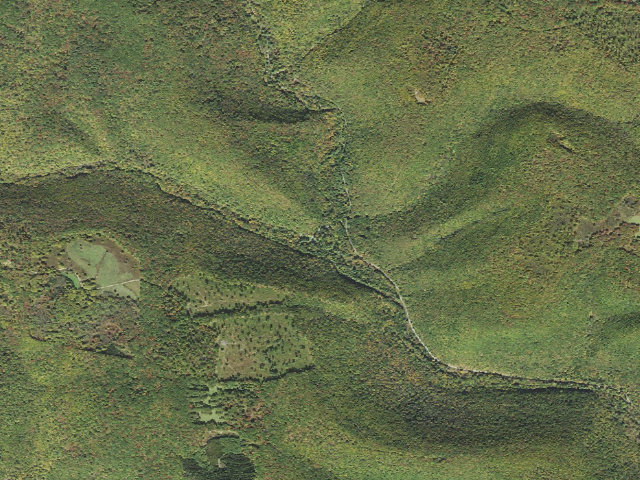 Aerial image of Elk State Forest roadside campsite 004 Hicks Run (Hicks Run Campground)