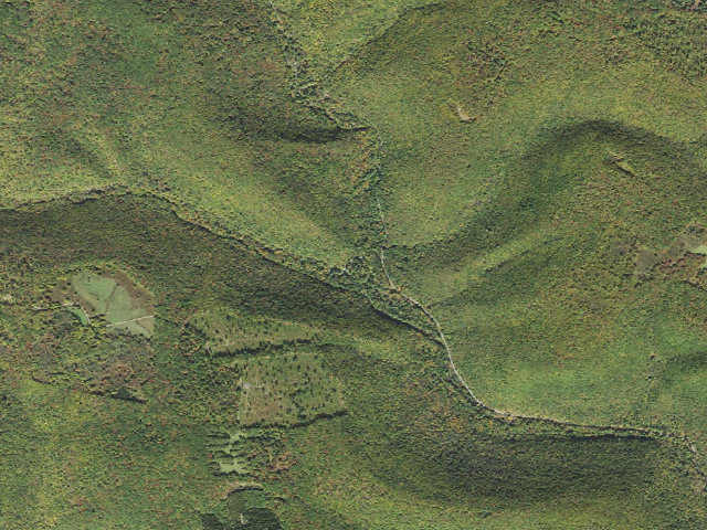 Aerial image of Elk State Forest roadside campsite 005 Hicks Run (Hicks Run Campground)