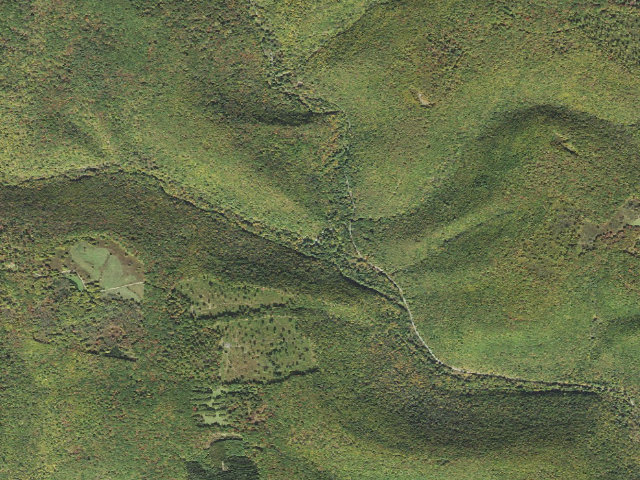 Aerial image of Elk State Forest roadside campsite 006 Hicks Run (Hicks Run Campground)
