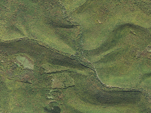 Aerial image of Elk State Forest roadside campsite 009 Hicks Run (Hicks Run Campground)