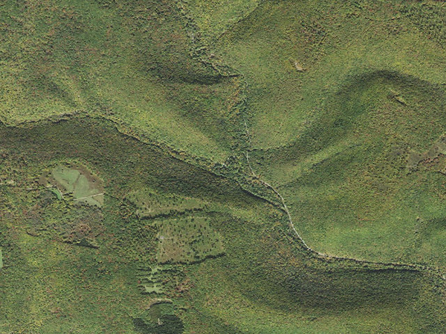 Aerial image of Elk State Forest roadside campsite 011 Hicks Run (Hicks Run Campground)