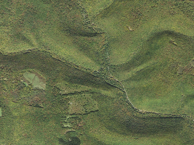 Aerial image of Elk State Forest roadside campsite 012 Hicks Run (Hicks Run Campground)