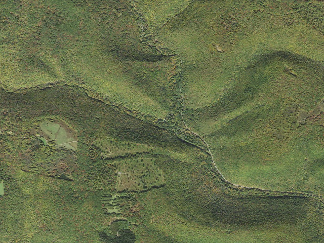 Aerial image of Elk State Forest roadside campsite 013 Hicks Run (Hicks Run Campground)