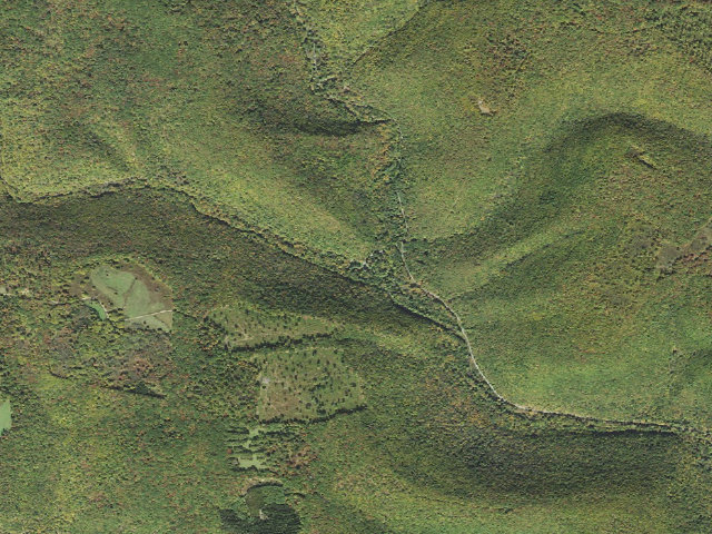 Aerial image of Elk State Forest roadside campsite 014 Hicks Run (Hicks Run Campground)