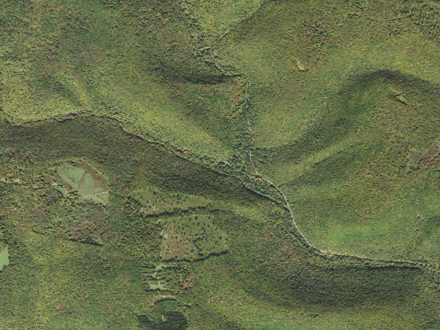 Aerial image of Elk State Forest roadside campsite 015 Hicks Run (Hicks Run Campground)