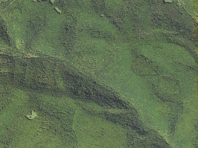 Aerial image of Elk State Forest roadside campsite 016 Old Landing (West Hicks)