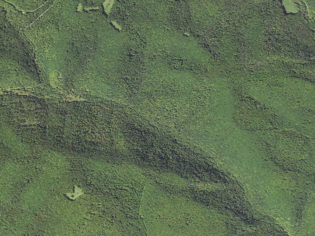 Aerial image of Elk State Forest roadside campsite 017 Middle (West Hicks)