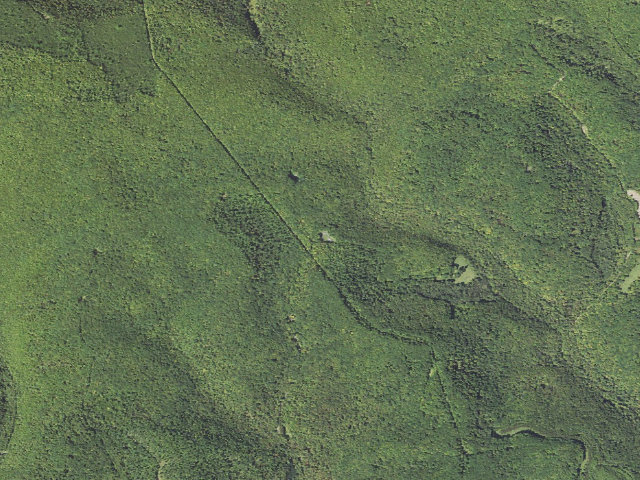 Aerial image of Elk State Forest roadside campsite 030 Dark Hollow (Dark Hollow Equestrian)