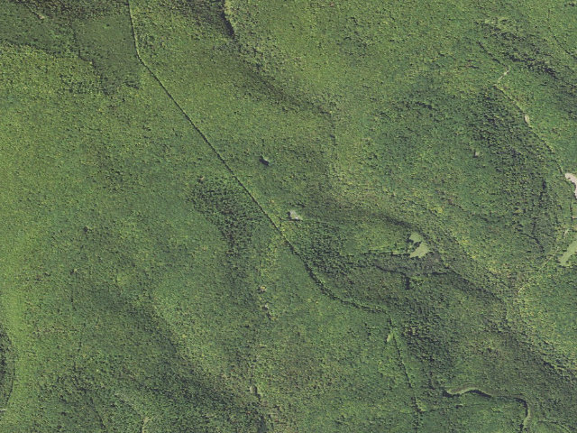 Aerial image of Elk State Forest roadside campsite 031 Dark Hollow (Dark Hollow Equestrian)