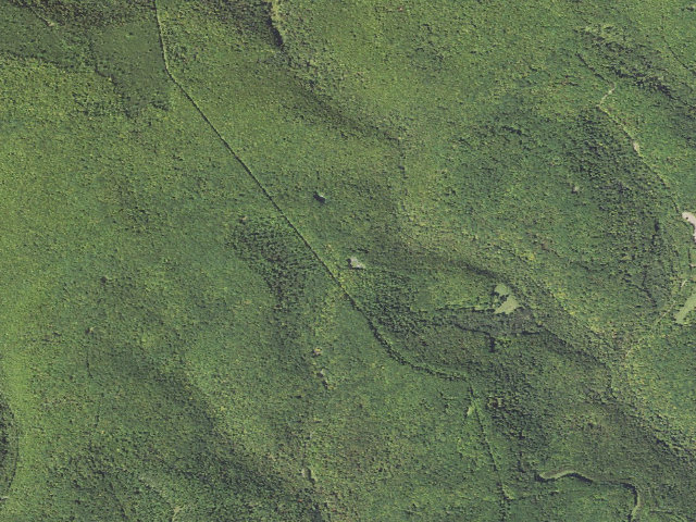 Aerial image of Elk State Forest roadside campsite 032 Dark Hollow (Dark Hollow Equestrian)